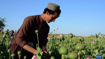 朱永彪：执政三年半，阿富汗塔利班距离加入国际社会还有多远？