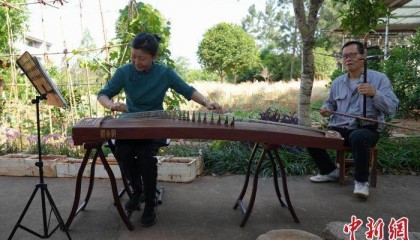 六旬台胞在鄂乐享田园生活：找到归心之所