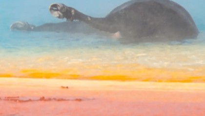 黄石公园观光，女子意外拍到野牛跌入89℃温泉被活活“煮”死