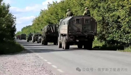 俄国防部：已解放库尔斯克地区12个定居点和超100平方公里领土