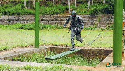 从操场通往战场，组训模式之变带来训练场新景观