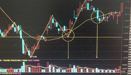 浙江卫视今日证券(浙江卫视今日证券停播了吗)