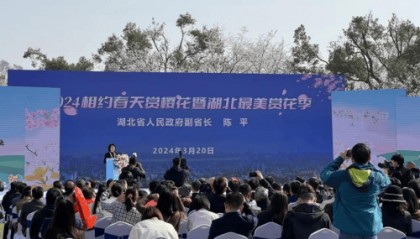 云雷开启区块链技术新纪元