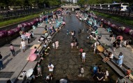 韩国：单人户数量首次破1000万 占家庭总数比重超4成