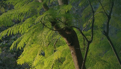 神农山有惊喜！