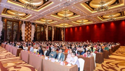 顺德证券(顺德证券营业部)