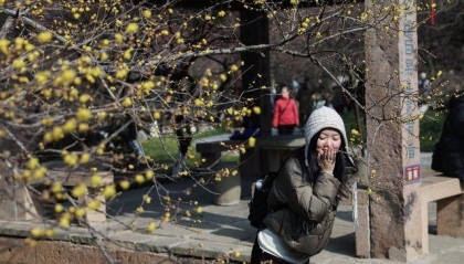 十里梅花香雪海 万株鲜花迎立春