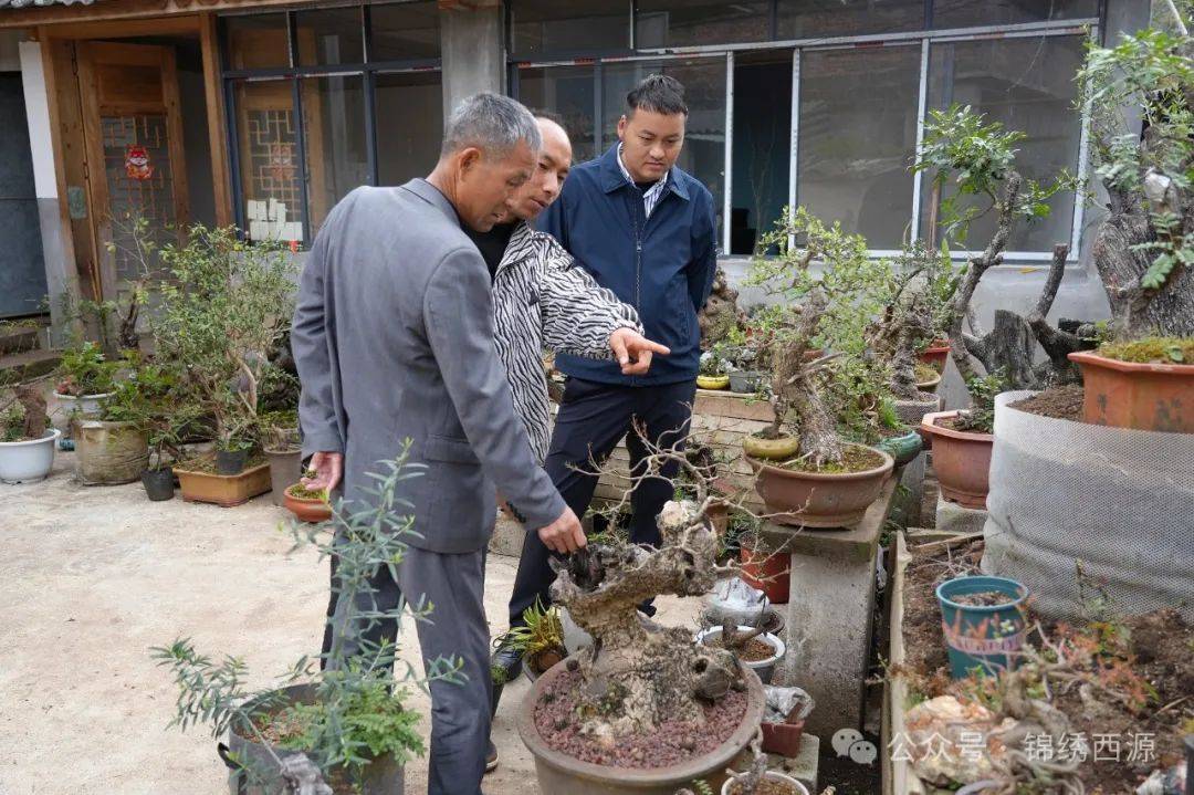 西源街道：“小屏幕”打开“大市场”赋能乡村振兴