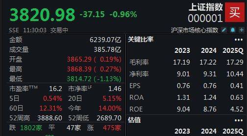 A股连续宽幅震荡，沪指半日下跌0.96%